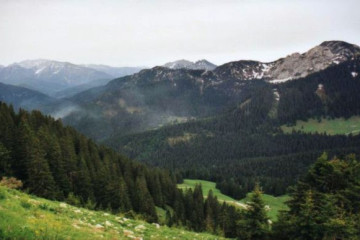 008 Auf dem Wallberg